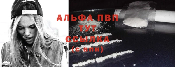 СК Зерноград
