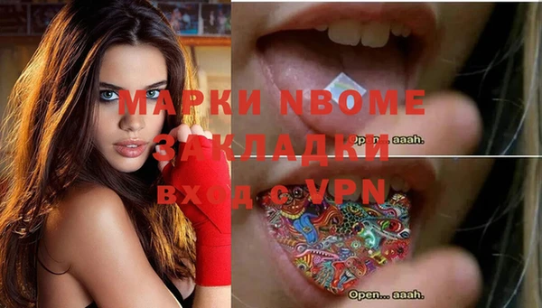 СК Зерноград