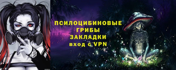 метадон Зеленодольск