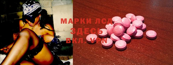 СК Зерноград