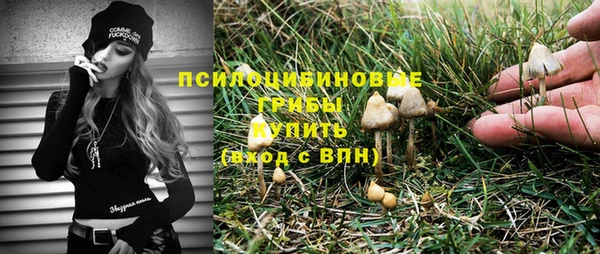 метадон Зеленодольск