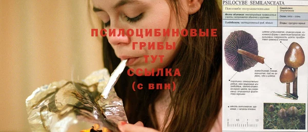 СК Зерноград