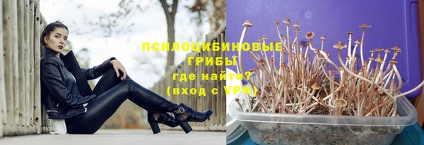 СК Зерноград
