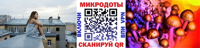 Галлюциногенные грибы прущие грибы  Купить где  Темников 